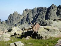 `¿Y estos qué hacen aquí?´